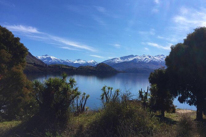 1-Hour Ruby Island Cruise and Walk - The catamaran ride on Lake Wanaka: comfort and quick photo angles