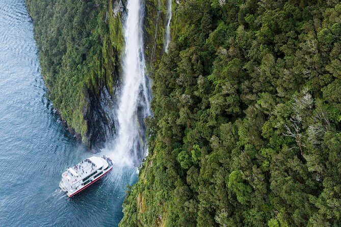 2-Hour Milford Sound Scenic Cruise - Inside the Experience: Commentary, Tea or Coffee, and Hearing the Captain
