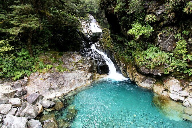 5 Day South Island New Zealand Private Tour from Queenstown - Day 5: Christchurch base, then Kaikōura or Akaroa full-day options