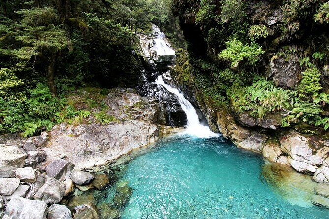 9 Day South to North Island NZ Private Tour from Queenstown - Key points to know before you go