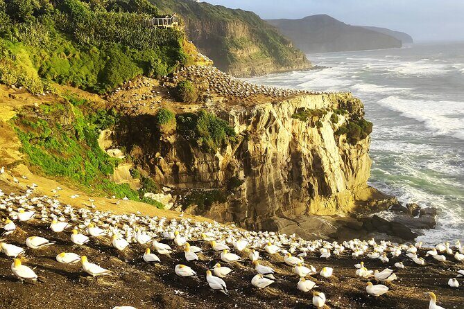9 Day South to North Island NZ Private Tour from Queenstown - Day 1: Queenstown into Fiordland, then Te Anau Glowworm Caves