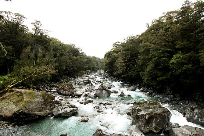 9 Day South to North Island NZ Private Tour from Queenstown - Day 5: Christchurch base with Kaikōura or Akaroa day trips
