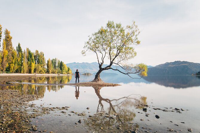 Arrowtown and Wanaka Highlights Tour from Queenstown - Queenstown Pickup and a 6-Hour “No-Driving” Plan