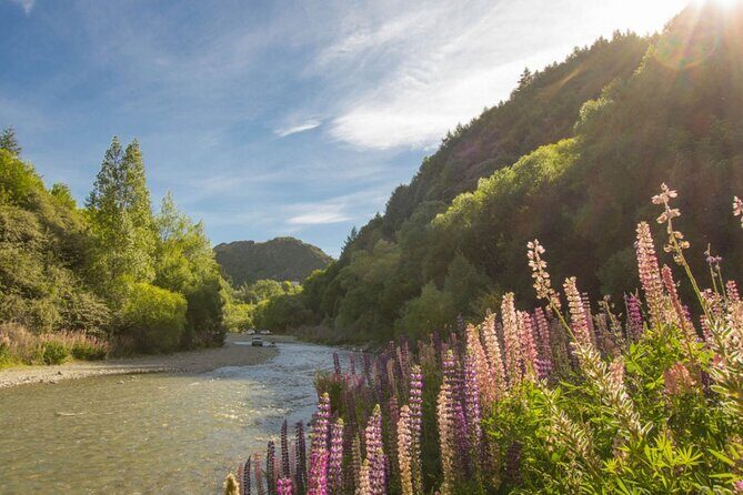 Arrowtown to Queenstown Bike Tour with Shuttle - Lake Wakatipu Time: The Long-View Payoff (About 40 Minutes)