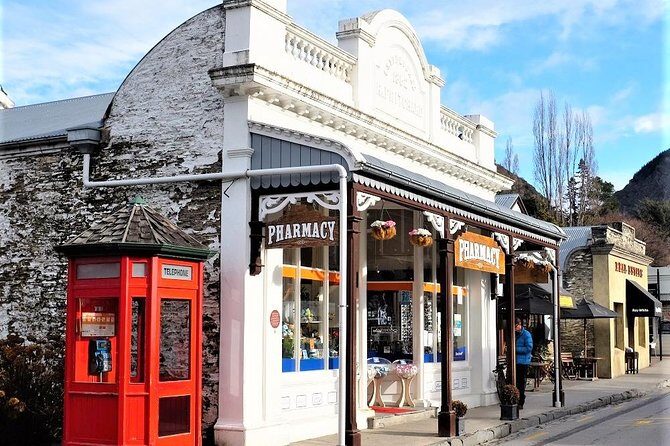 Arrowtown Wanaka Private Day Tour from Queenstown - That Wanaka Tree: the classic photo stop with a helpful guide