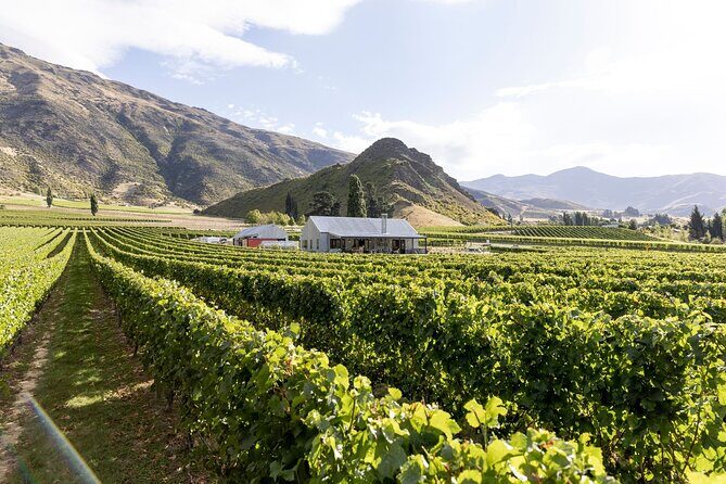 Award Winning Premium Wine Tour Queenstown Tasting at 4 Wineries - Gibbston Valley in one day: why this route works
