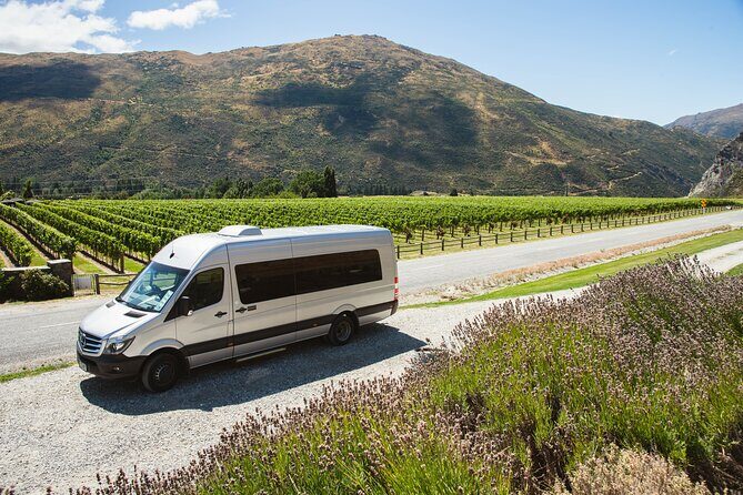 Award Winning Premium Wine Tour Queenstown Tasting at 4 Wineries - Stop 2: Kinross Cellar Door, cottages, and lunch in the middle of the action