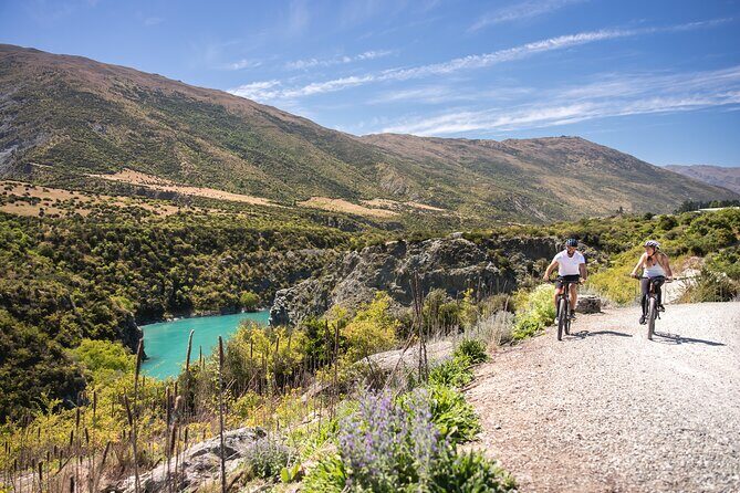 Bike The Wineries (1/2 Day) - Quick Pedal to Pinot - Self-guided freedom, with phone backup if you wobble