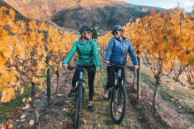 Bike The Wineries (3/4 Day) - Ride Through Queenstown Vineyards - Queenstown to Gibbston Valley: how this wine bike day really works
