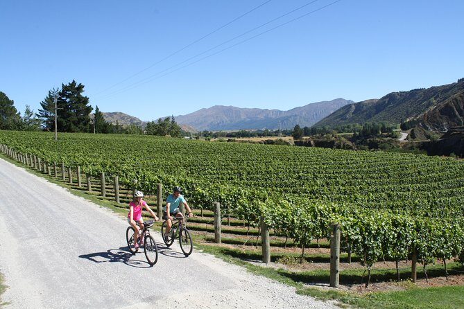 Bike The Wineries (3/4 Day) - Ride Through Queenstown Vineyards - Bike choice matters: e-bikes can change the whole day