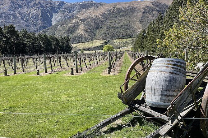 Bike & Wine Tour: Arrowtown to Valley of the Vines - Key points to know before you go