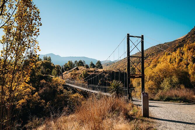 Bike & Wine Tour: Arrowtown to Valley of the Vines - Gibbston Cellar Doors: Where Tastings Actually Fit