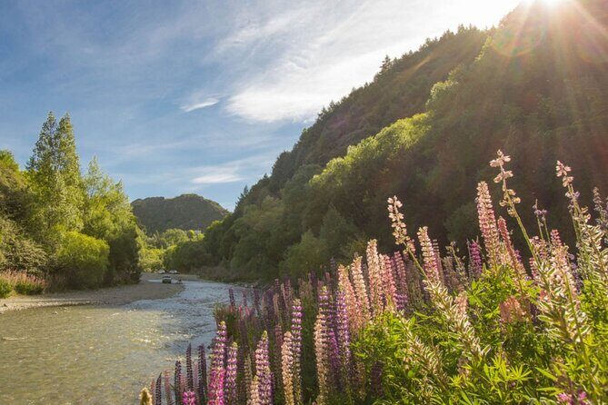 Bike & Wine Tour: Arrowtown to Valley of the Vines - Timing That Works: 10:00 Start, 4:00 Pick-Up, Back by 5:00