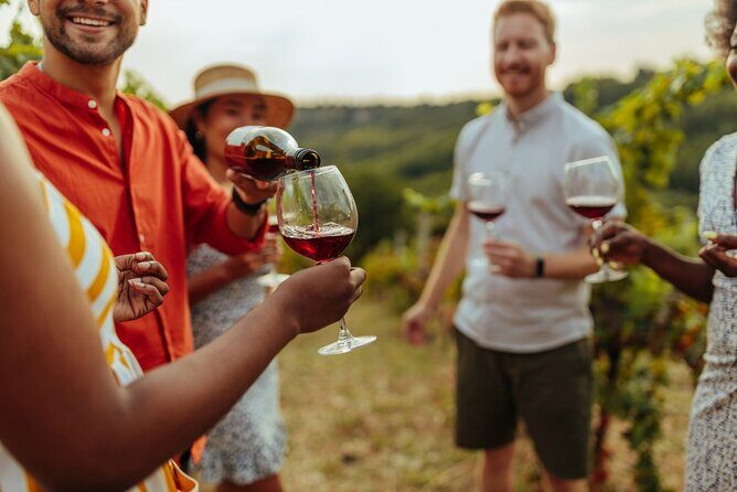 Bike & Wine Tour: Arrowtown to Valley of the Vines - Arrowtown Setup and the Gold-Rush Context You’ll Hear