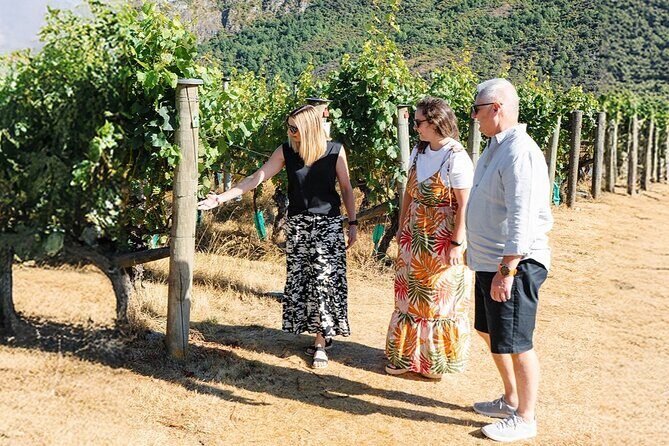 Boutique Wine Tour - visit Central Otago, 4 Wineries & Lunch - Cromwell stop #2: tasting again with better context