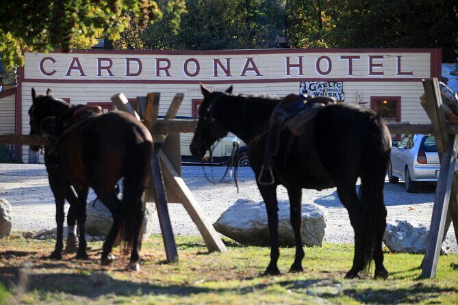 Cardrona High Country Pub Trail Horse Riding Trek (Intermediate+) - Key highlights to look for