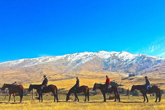 Cardrona High Country Pub Trail Horse Riding Trek (Intermediate+) - Cardrona High Country pub trek: what you’re really paying for
