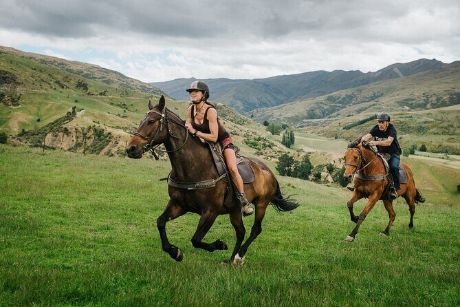 Cardrona High Country Pub Trail Horse Riding Trek (Intermediate+) - Guides, small-group control, and why your horse matching matters