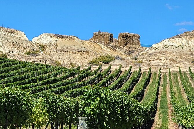 Central Otago Wine Tour Small Group, Expert Guide & Scenic Views - Stop 3: Te Kano Estate—another hosted tasting to compare styles