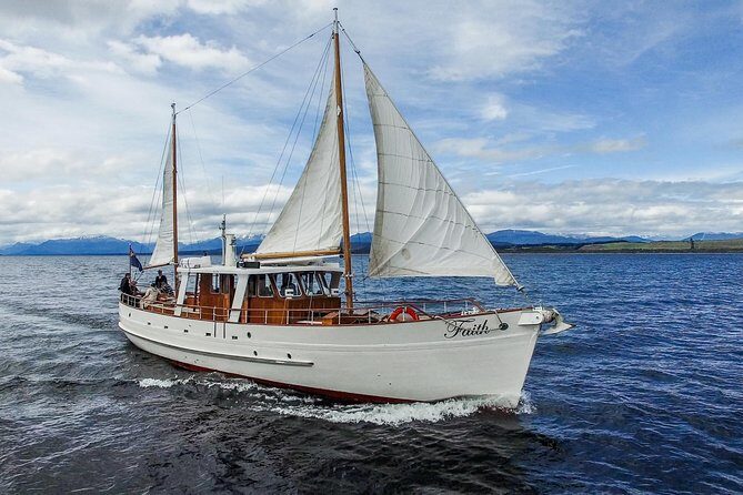 Champagne Sightseeing Cruise on Lake Te Anau - Lake Te Anau at sunset: why this 90 minutes works