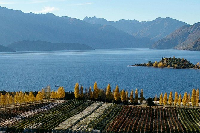 Classic Wanaka Wine Tour - Up to six boutique vineyards and ~30 tastings: what you’ll taste and why it matters