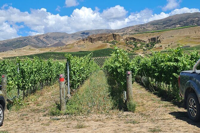 Cromwell Wine Tasting Tour using Classic Car - The Central Otago stop: what the 1-hour block is really for