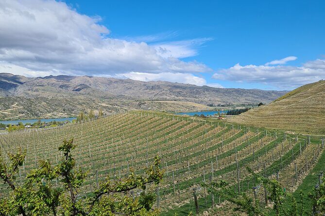 Cromwell Wine Tasting Tour using Classic Car - How to get the most from your tasting day