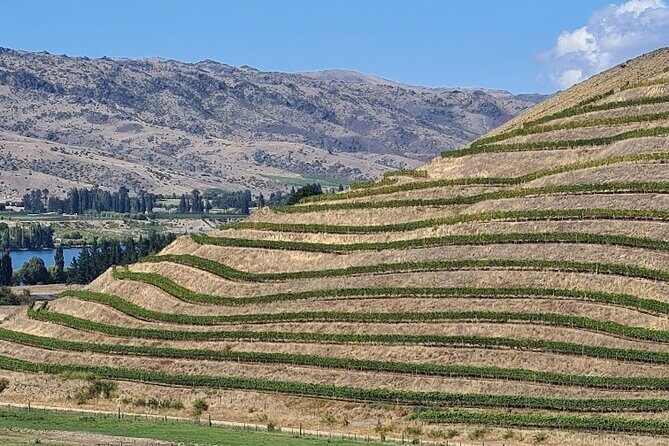Cromwell Wine Tasting Tour using Classic Car - Who this tour suits best (and who might prefer something else)