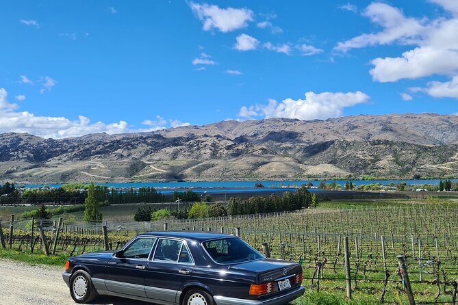 Cromwell Wine Tasting Tour using Classic Car - From Queenstown at 10:00 to the vineyards: timing that won’t drag