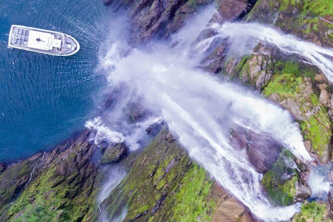 Cruise Milford NZ Small Boutique Cruise Experience - Key points to know before you go