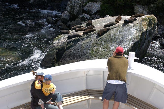 Cruise Milford NZ Small Boutique Cruise Experience - Who this small boutique Milford Sound cruise is best for