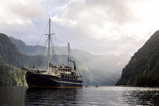 Doubtful Sound Overnight Cruise - What You’ll Remember Most (Key Highlights)