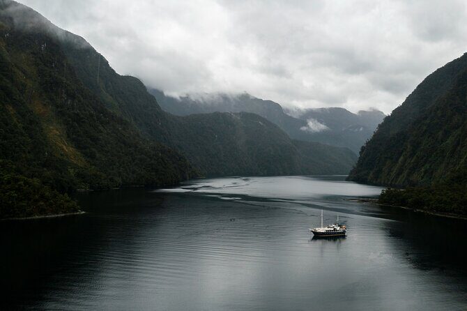 Doubtful Sound Overnight Cruise - The Return Day: A Calm Morning Cruise and Another Pass Through Rainforest