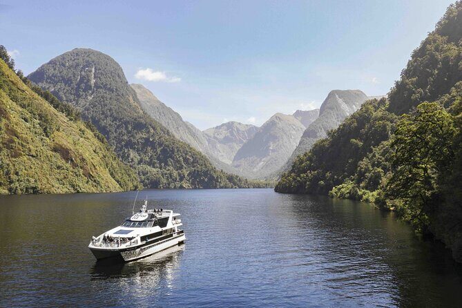 Doubtful Sound Wilderness Cruise from Queenstown - Wildlife and photo moments: what to watch for on deck