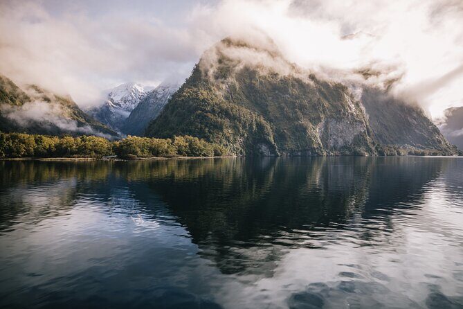 Doubtful Sound Wilderness Cruise from Te Anau - Key Highlights You’ll Feel Immediately