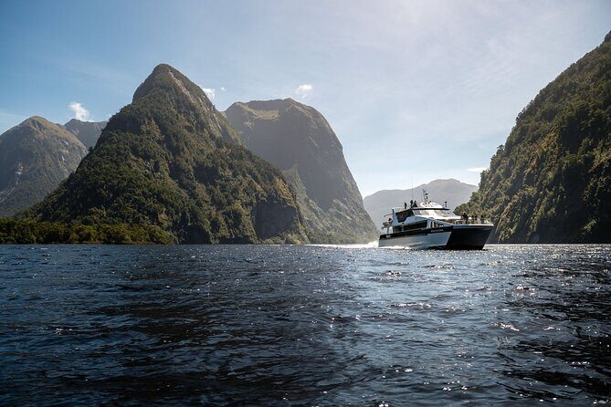 Doubtful Sound Wilderness Cruise from Te Anau - What I’d Actually Watch For on the Water