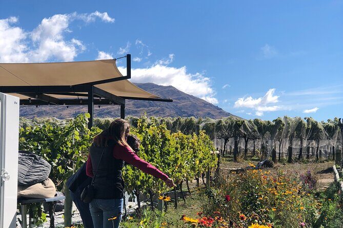 ebike tour lake Dunstan wine tasting - Is this tour for you? Who should book the Lake Dunstan e-bike wine ride