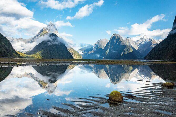 Epic Milford Guided Tour from Te Anau - Monkey Creek for wildlife chances: whio/blue duck and kea