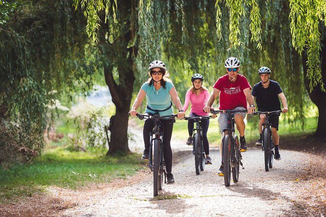Explore Queenstown's Scenic Trails with an Electric Bike - Bike fit and comfort checks: seats, sizes, and keeping it painless