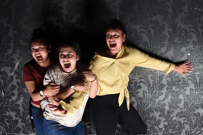 Fear Factory Queenstown - Red lights and the maze effect: why the guidance makes it scarier