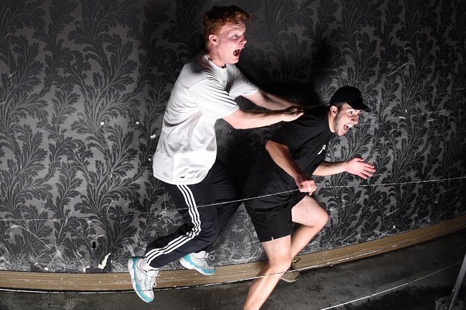 Fear Factory Queenstown - Who should go: adults, older kids, and brave solos