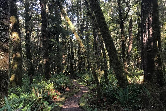 Fiordland Jet Boat and Biking Combo from Te Anau - National Park stroll and what to pay attention to