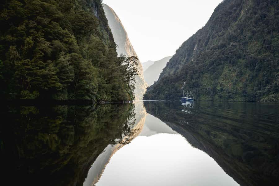 From Queenstown: Doubtful Sound Wilderness Day Trip - The 3-hour Doubtful Sound cruise: waterfalls, silence, and wildlife chances
