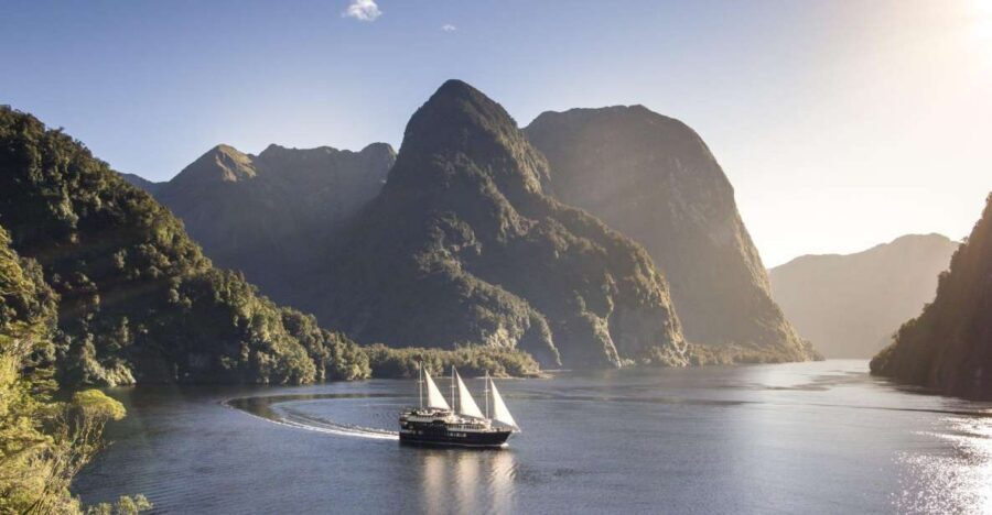 From Queenstown: Doubtful Sound Wilderness Day Trip - Wildlife and how to actually spot it