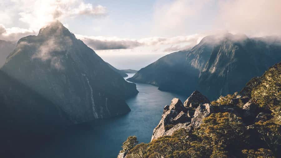 From Queenstown: Milford Sound Business Class with Cruise - Five-course tasting menu: local, wild, and designed around the setting