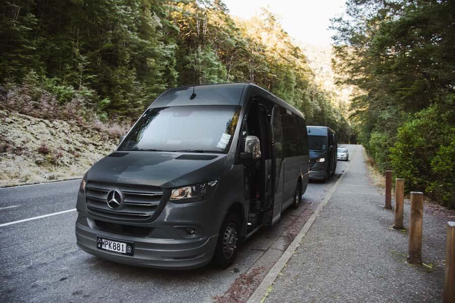 From Queenstown: Milford Sound Business Class with Cruise - Who should book this Milford Sound experience