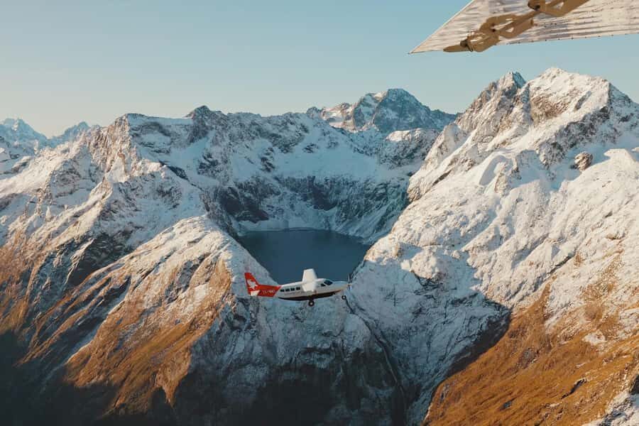 From Queenstown: Milford Sound Coach, Cruise, Scenic Flight - Milford Sound Cruise: Water-Level Drama and Wildlife Chances
