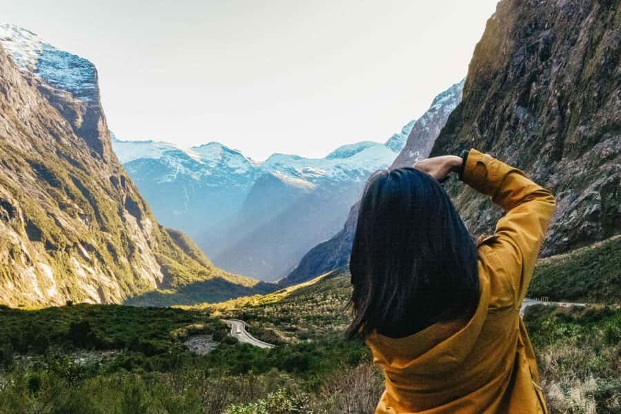 From Queenstown: Milford Sound Cruise and Coach Day Trip - Wildlife Spotting: What You Can Expect to See