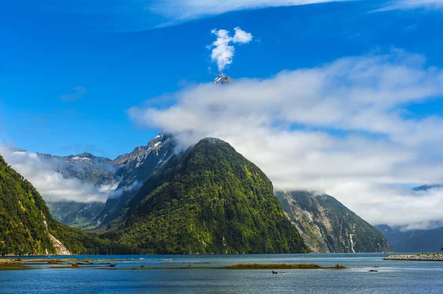 From Queenstown: Milford Sound Cruise & Scenic Coach Tour - A Queenstown-to-Milford Sound day that actually feels like a plan