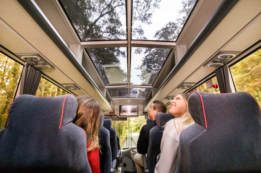 From Queenstown: Milford Sound Day Trip on Premium Coach - Key highlights worth aiming for